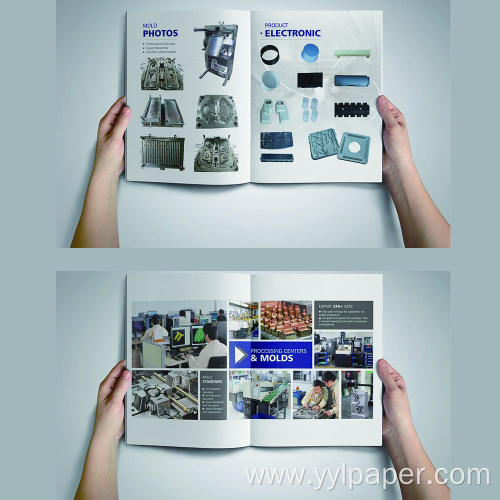 Professional Offset Paper Printing Flyer Printing Brochure